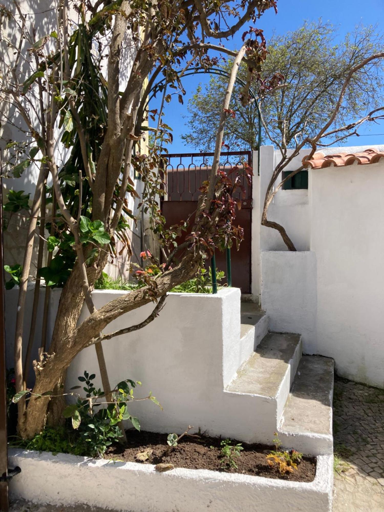 Family House Adraga Villa Sintra Bagian luar foto
